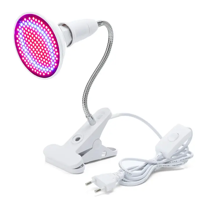 Appareil de thérapie Photon à lumière LED rouge bleue pour rajeunissement du visage, soin coréen pou
