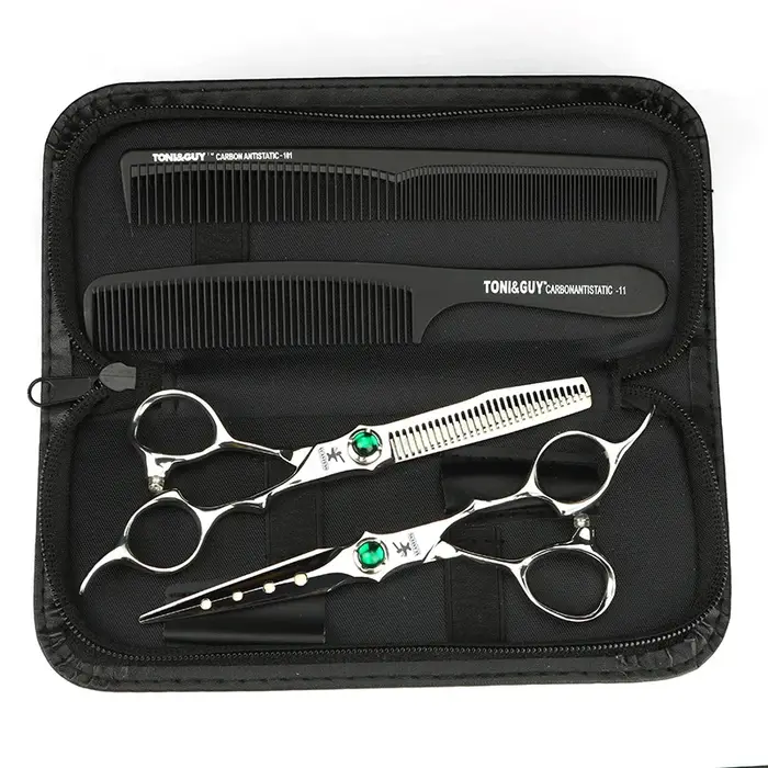 Ciseaux à cheveux professionnels en acier VG10 de 6 pouces, ensemble de ciseaux de coupe et d'aminci