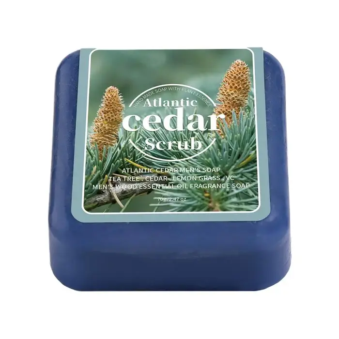 Savon naturel pour hommes, savon exfoliant hydratant fait à la main avec des huiles essentielles, sa