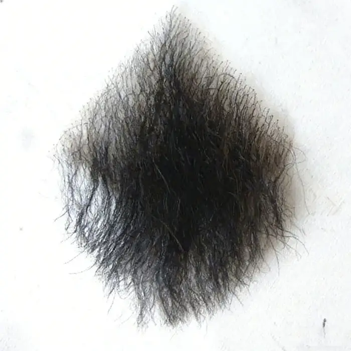 Autocollants de poils corporels artificiels en cheveux naturels faits à la main, pour simulation de poils pubiens, haut de gamme, réalistes, invisibles, sexy et denses, accessoires de cosplay