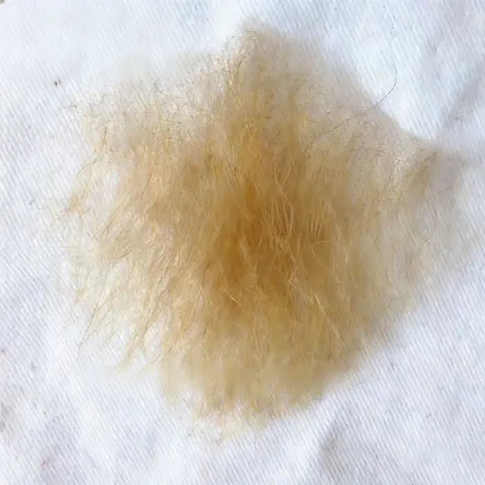 Autocollants de poils corporels artificiels en cheveux naturels faits à la main, pour simulation de poils pubiens, haut de gamme, réalistes, invisibles, sexy et denses, accessoires de cosplay