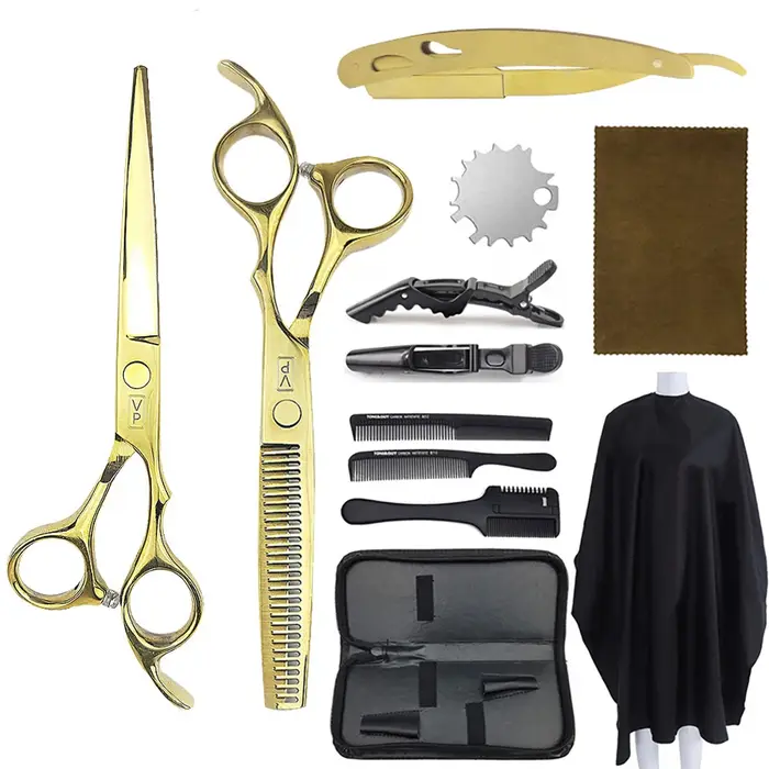 Ciseaux de coiffure professionnels, ensemble de ciseaux de coiffure, nouveaux ciseaux de coiffure de