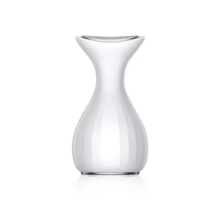 Masseur facial portable à froid glacé pour raffermir la peau, réparer l'œdème, rétrécir les pores, a