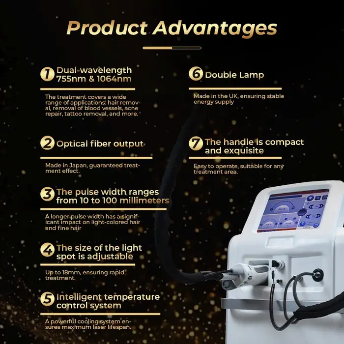 Machine de beauté professionnelle à laser Alexandrite et Ndyag à impulsions longues Alex Laser 755 1064 Gentle Pro pour l'épilation, directement de l'usine
